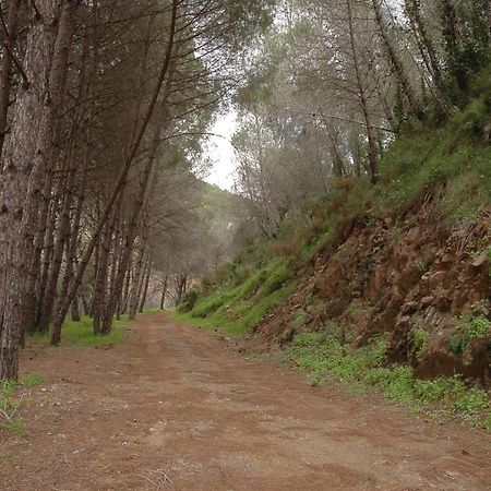 El Capricho De Almadan Villa Ojen Luaran gambar