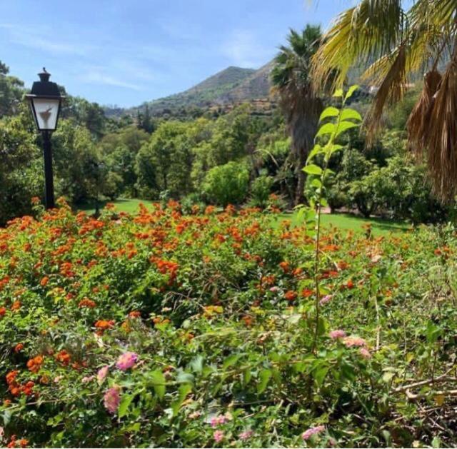 El Capricho De Almadan Villa Ojen Luaran gambar