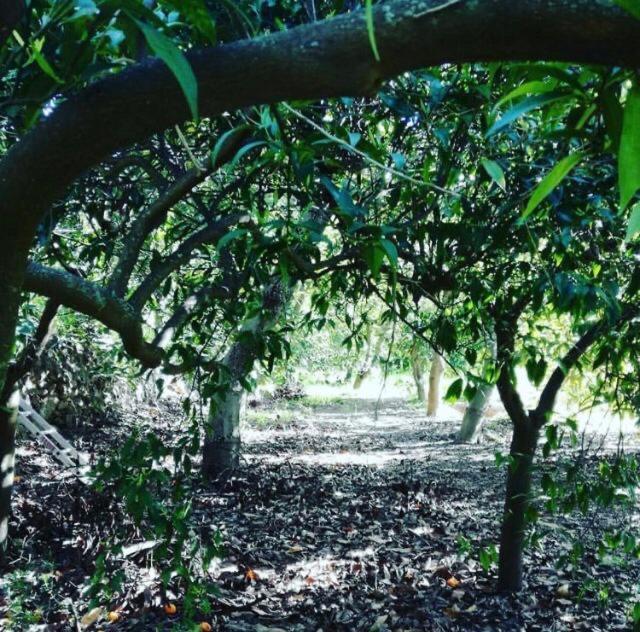 El Capricho De Almadan Villa Ojen Luaran gambar