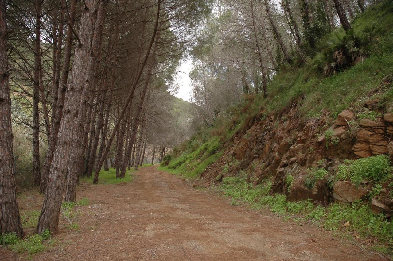 El Capricho De Almadan Villa Ojen Luaran gambar